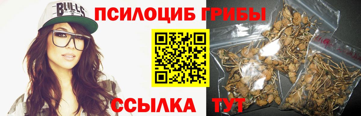 закладки  Вход с VPN  Тула  Псилоцибиновые грибы Cubensis  Галлюциногенные грибы мицелий 
